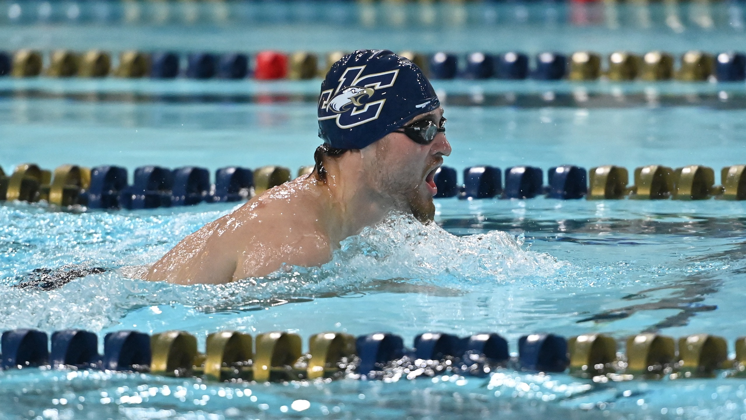 Men's Swimming Compete in Cougar Splash Day One