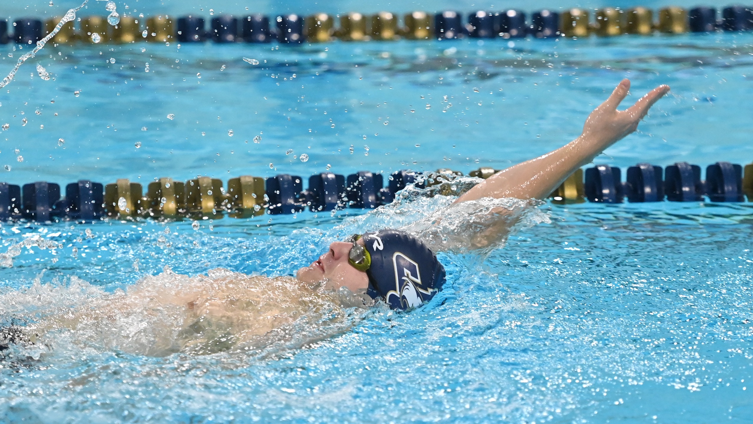 Men's Swimming Compete in Landmark Dual Meet at Wilkes