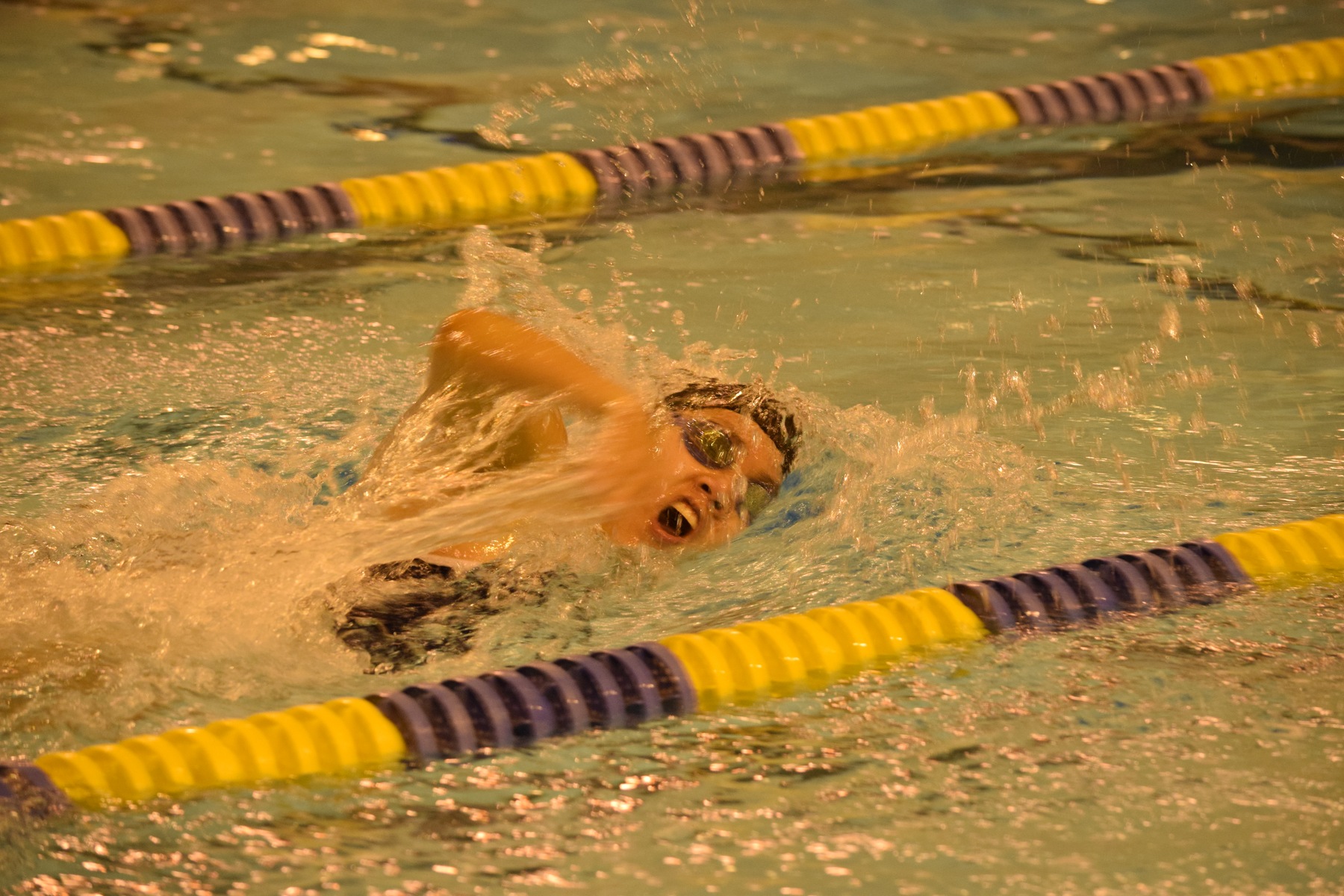Swimming Competes in First Meet of the Season