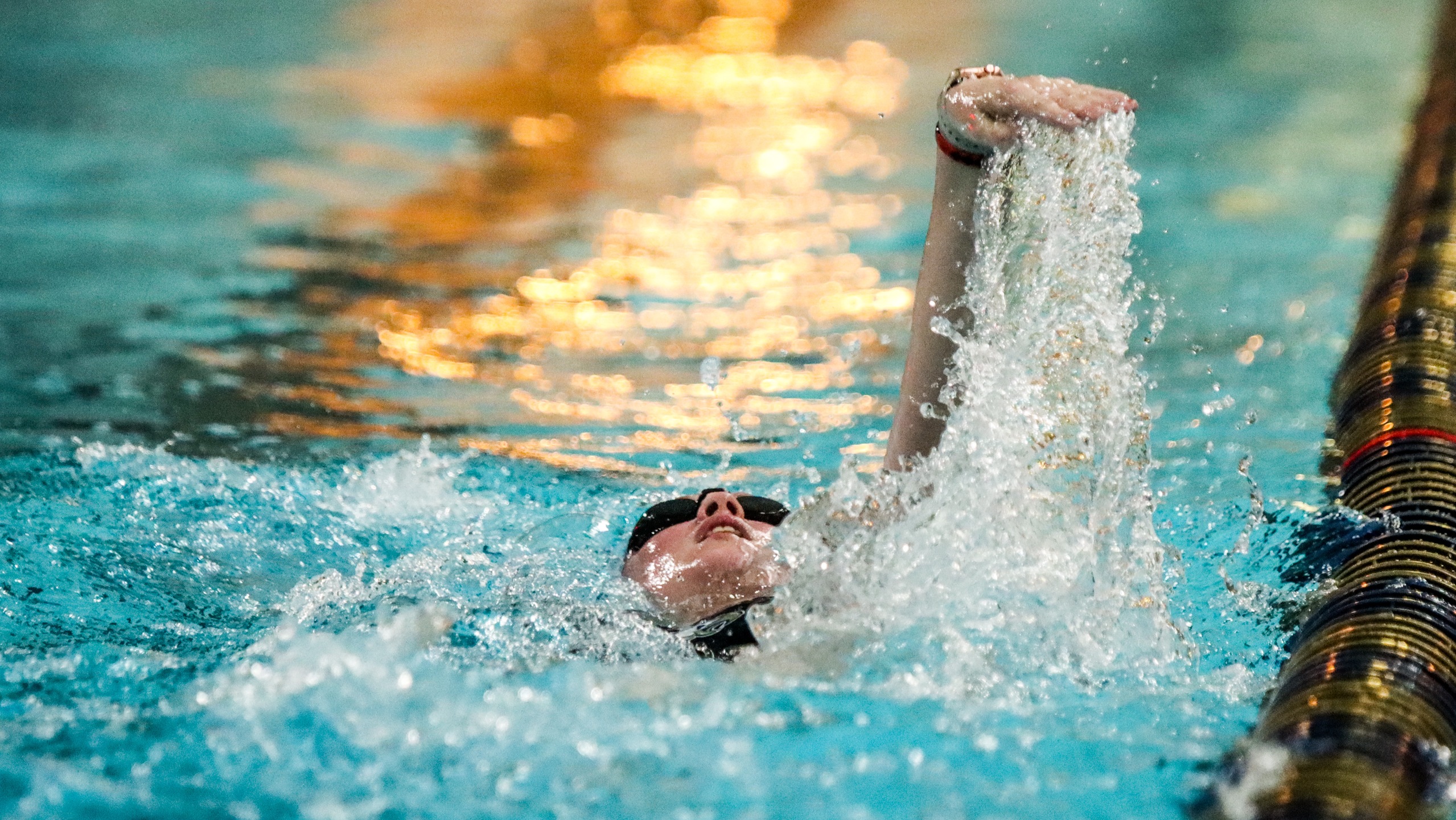 Women's Swimming Returns to Competition Against Goucher