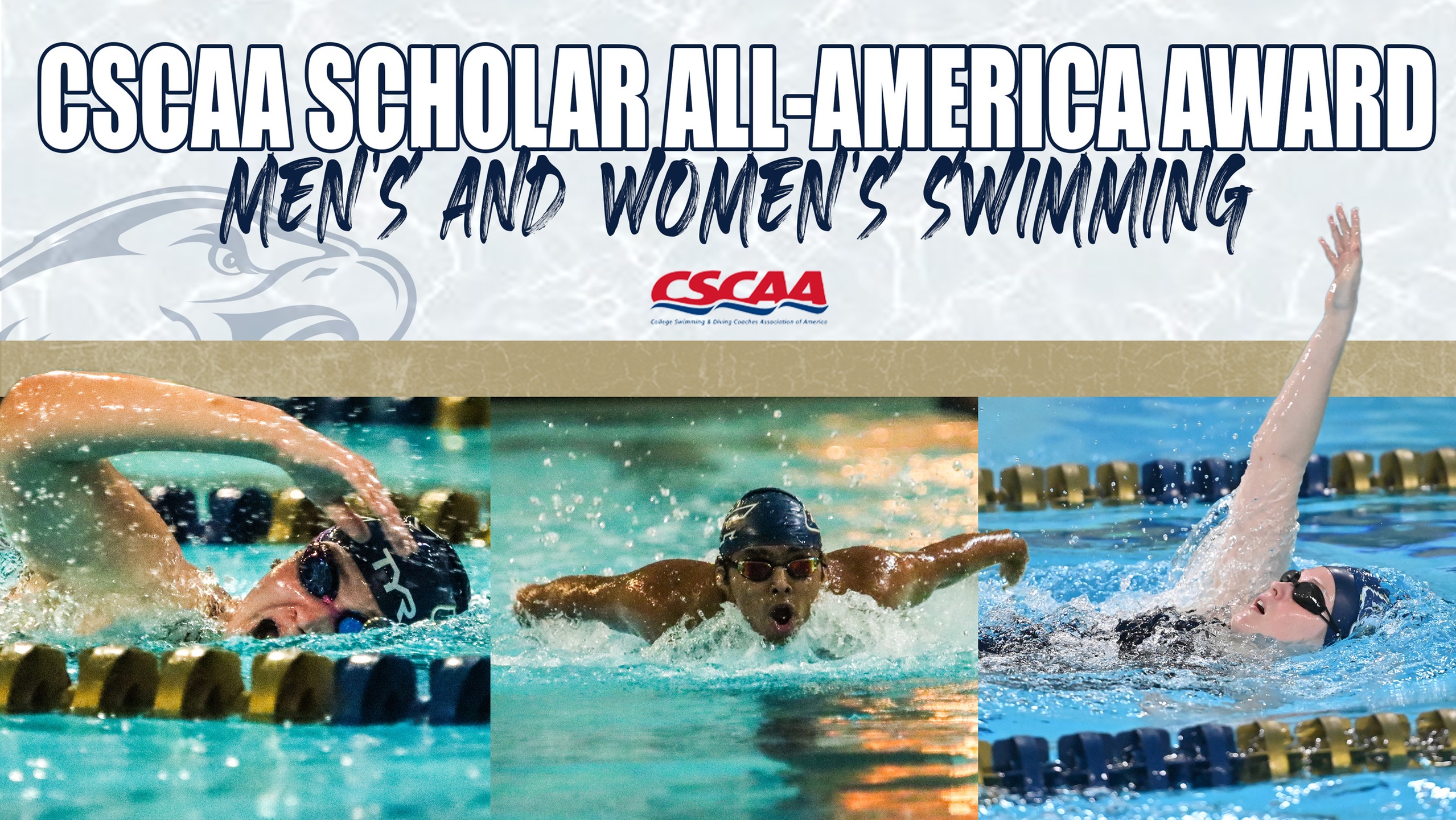 Men's & Women's Swimming Earn CSCAA Fall Scholar All-America Team Award