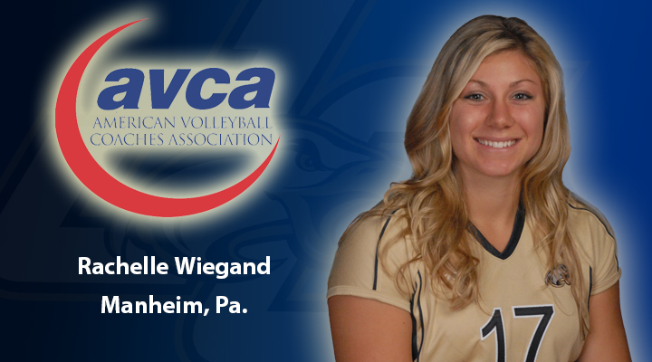 Wiegand Receives AVCA Coaches 4 Coaches Scholarship