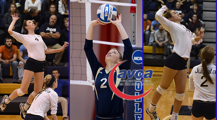 Three Eagles Earn Honorable Mentions From AVCA