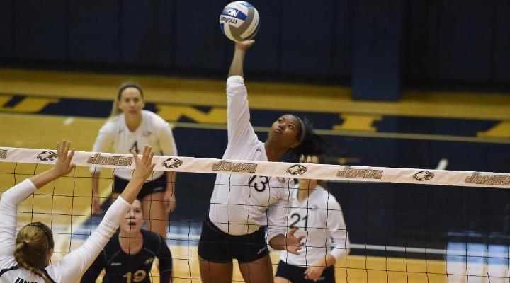 Women's Volleyball Remains Undefeated with Sweep of Christopher Newport Invite