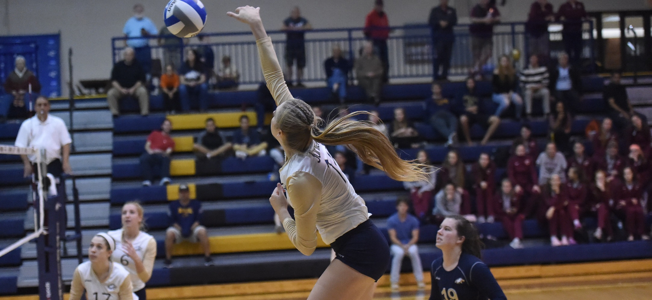 Women's Volleyball Falls to Scranton in First Ever Conference Defeat, Sweeps Susquehanna