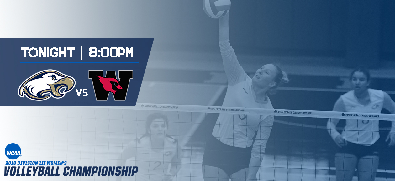 Women's Volleyball to Face Wesleyan (Conn.) In Elite 8 at 8