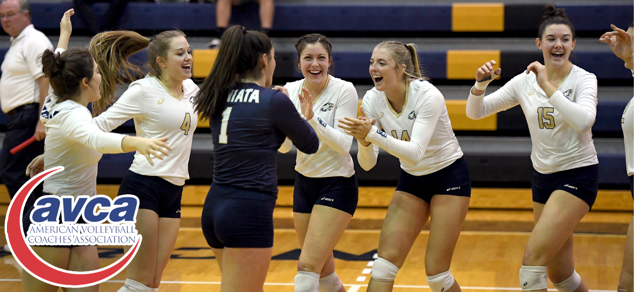 Women's Volleyball Recognized by AVCA With Team Academic Award