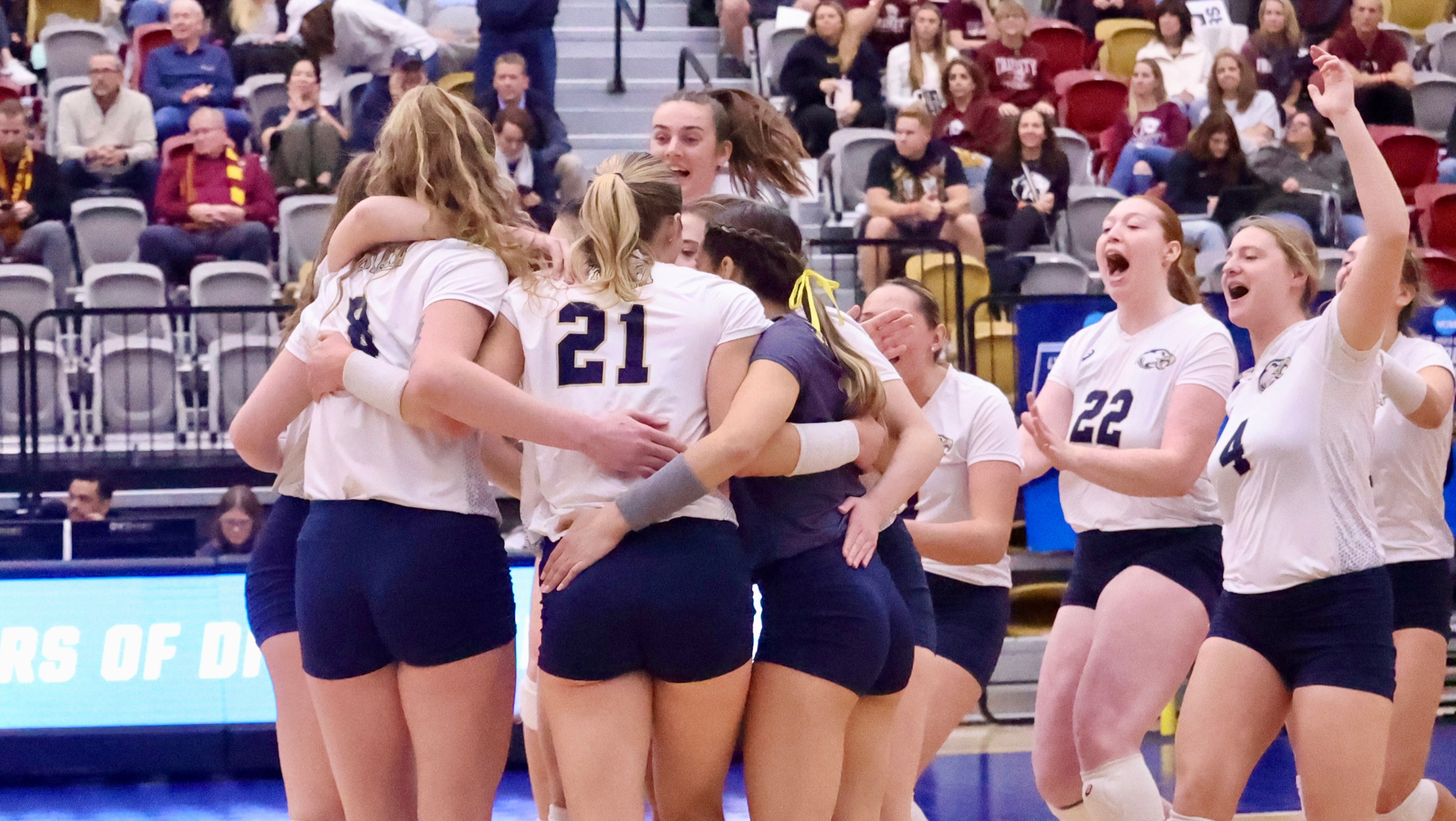 Eagles Top Tigers in Four-Set Elite Eight Victory; Advance to Program's 29th Final Four