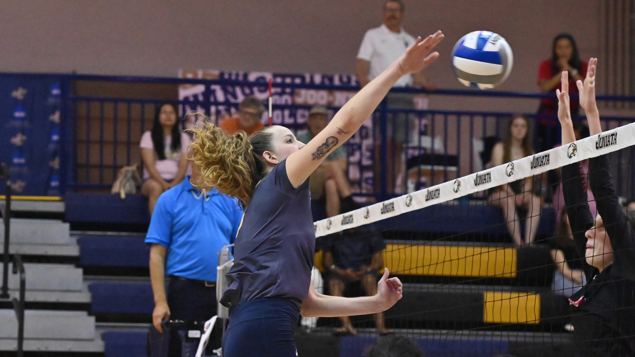 Women's Volleyball Dispatches Greyhounds