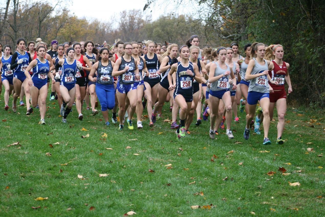 Cross Country Competes at Landmark Championships
