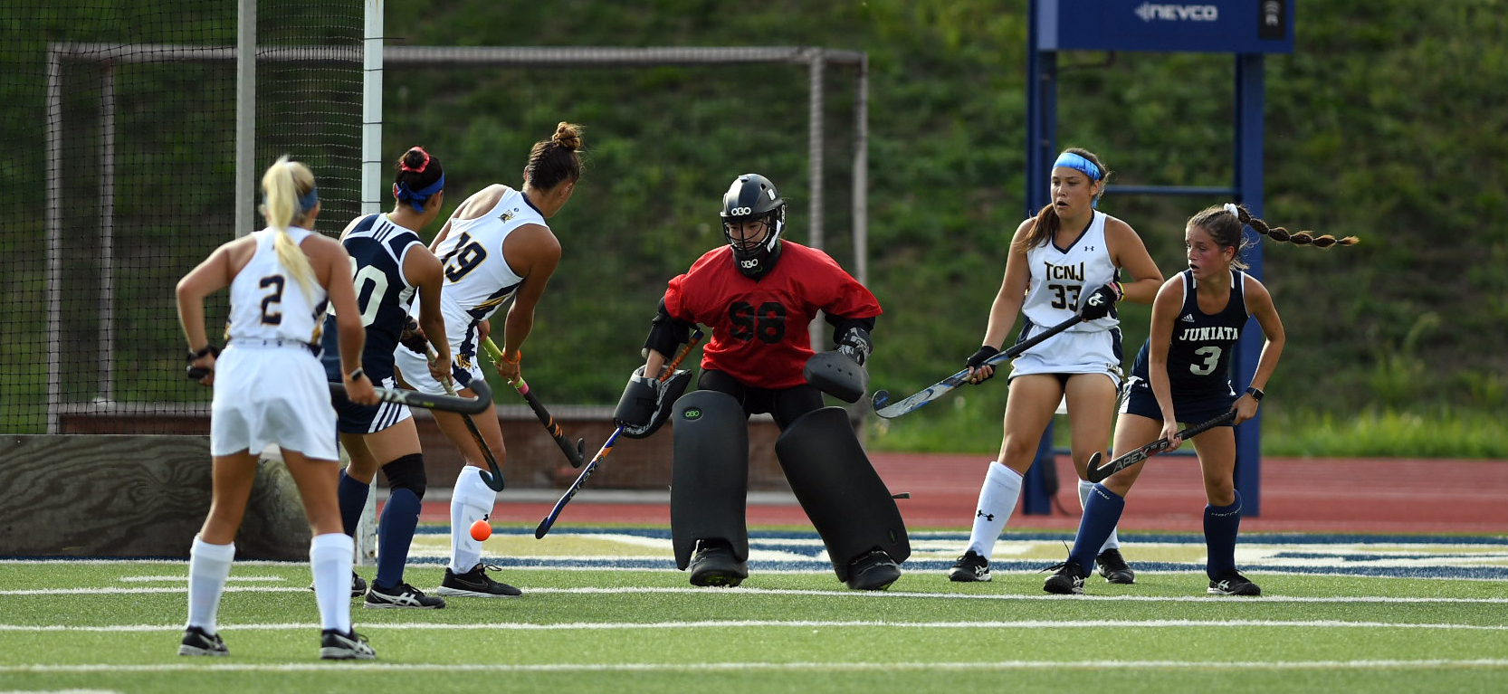 Nicole Piccioni made a career high 12 saves in goal in the 4-0 loss to TCNJ.