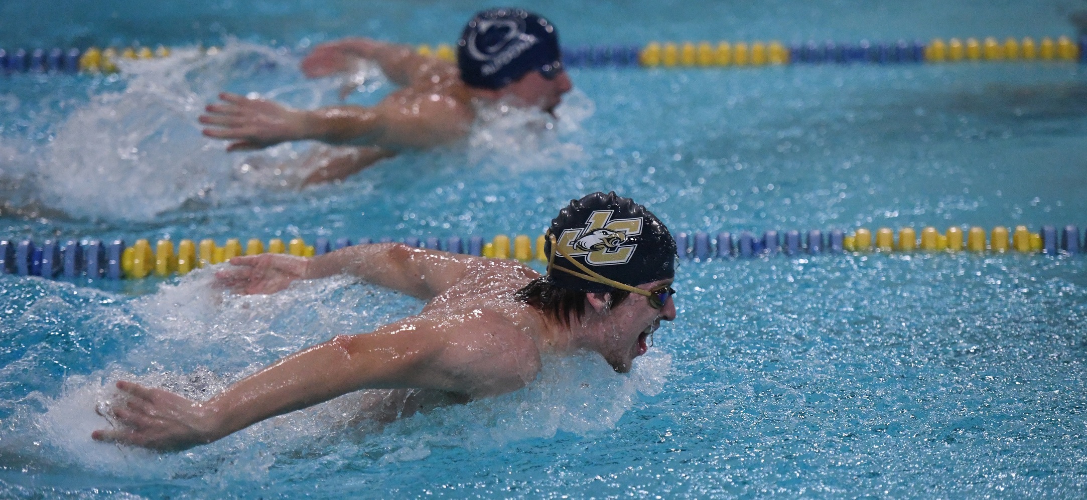 Men's Swimming Drops Meet to Penn St.-Altoona