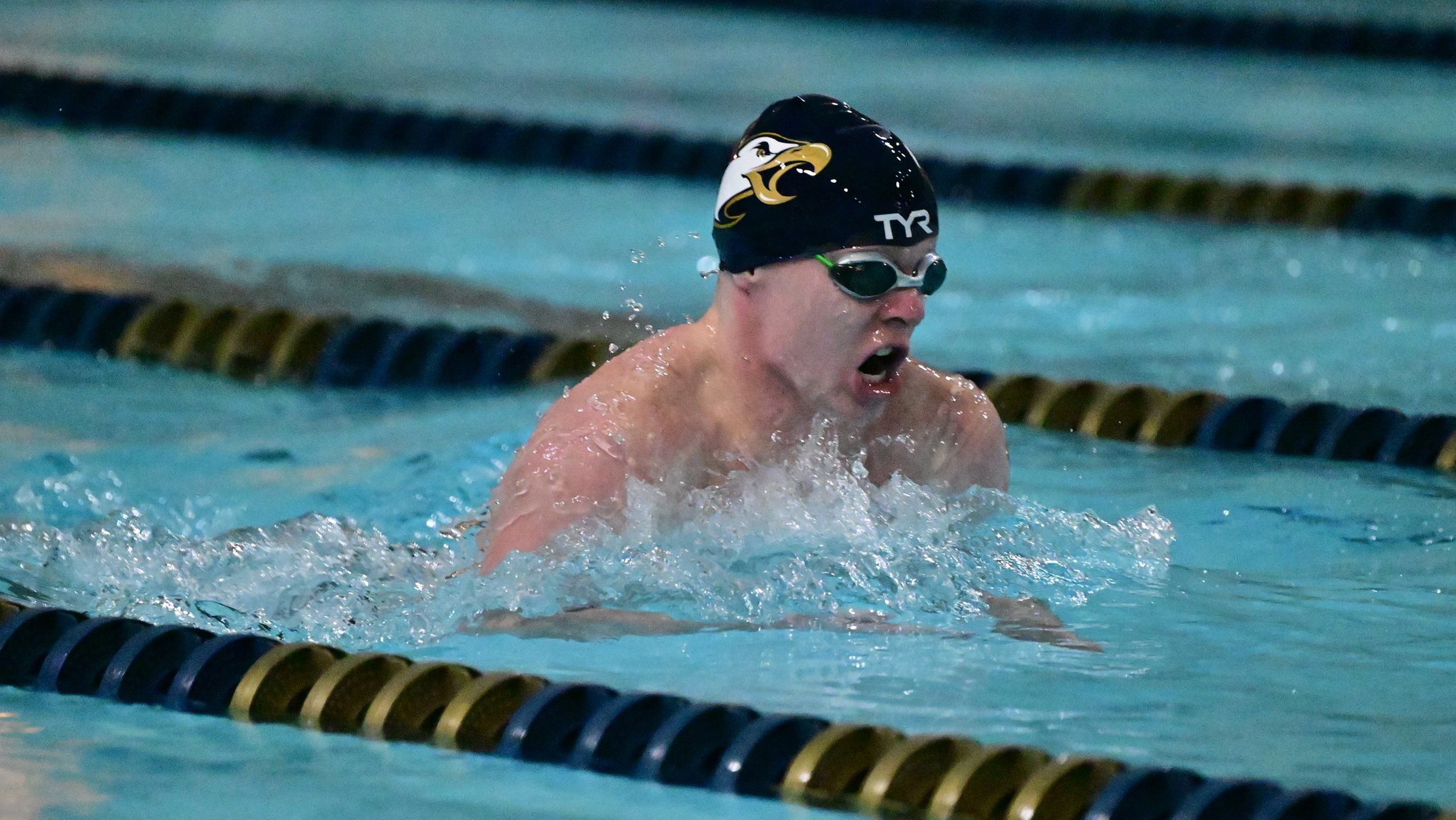 Men's Swimming Still Undefeated After Dual Meet