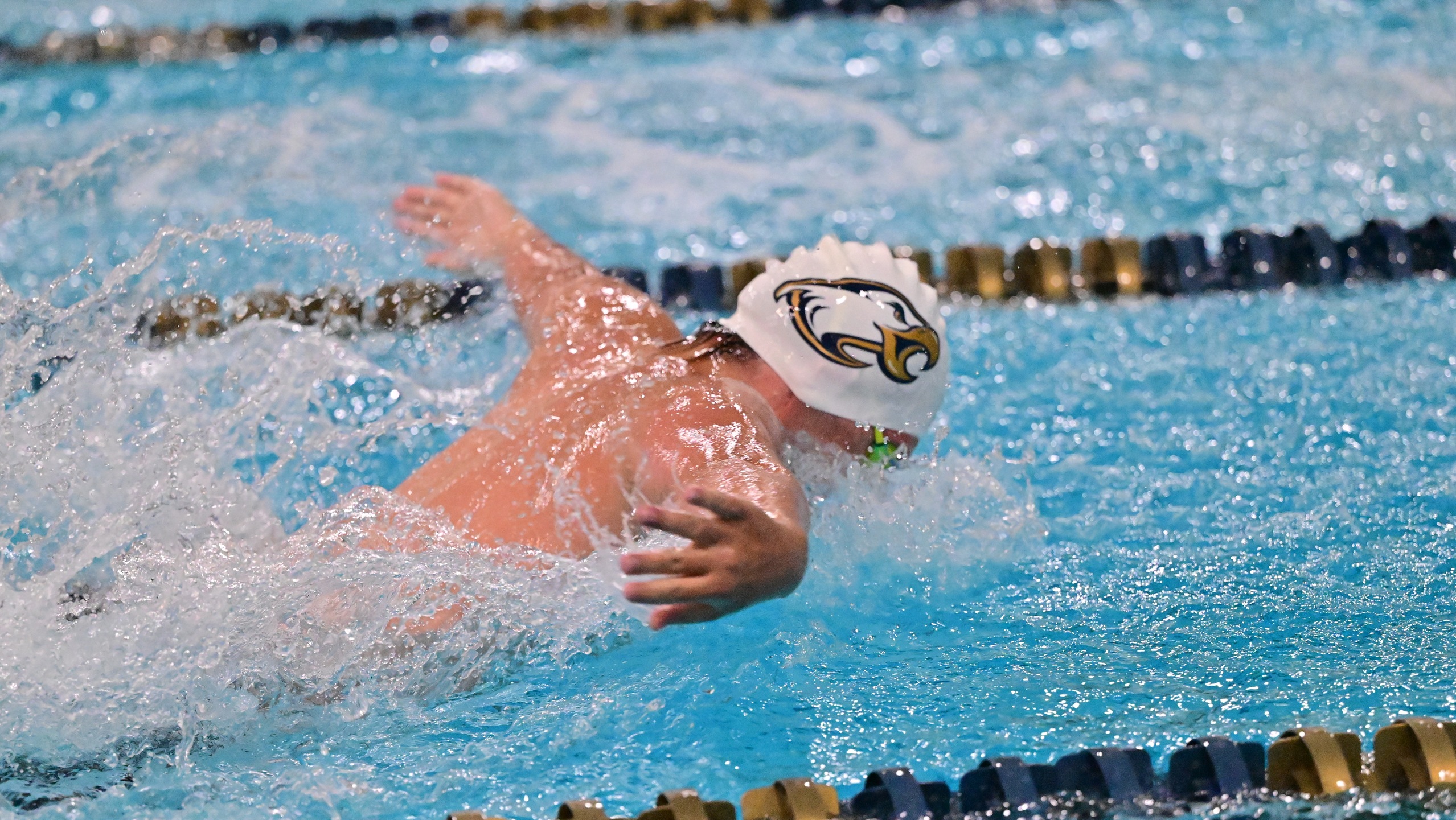 Men's Swimming Takes on Elizabethtown & Penn State Altoona