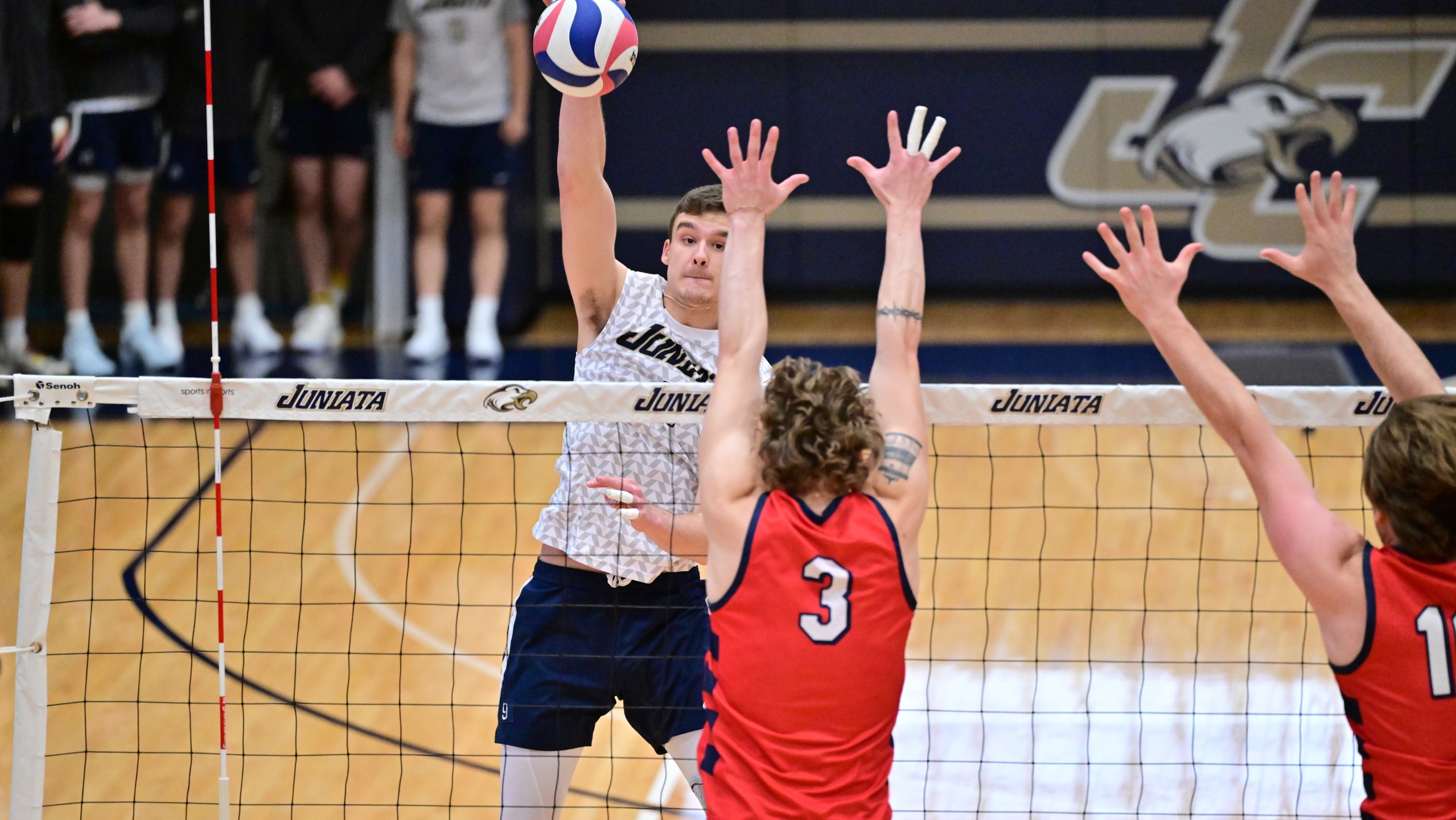 Men's Volleyball Moves to 6-0 on the Year