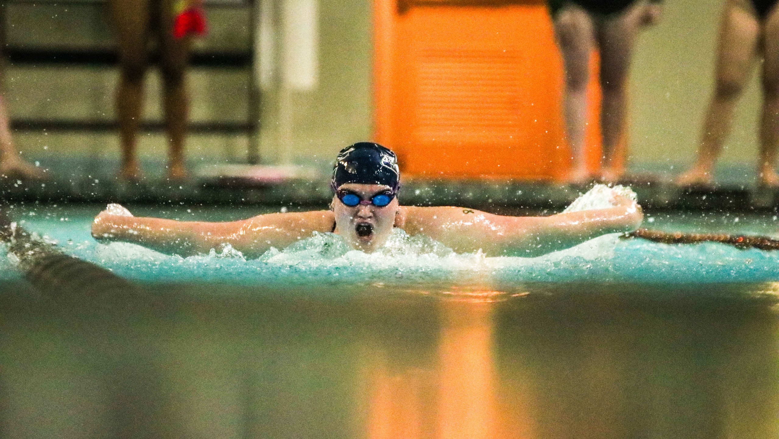 Women's Swimming Face Elizabethtown and Penn State Altoona in Dual Meet