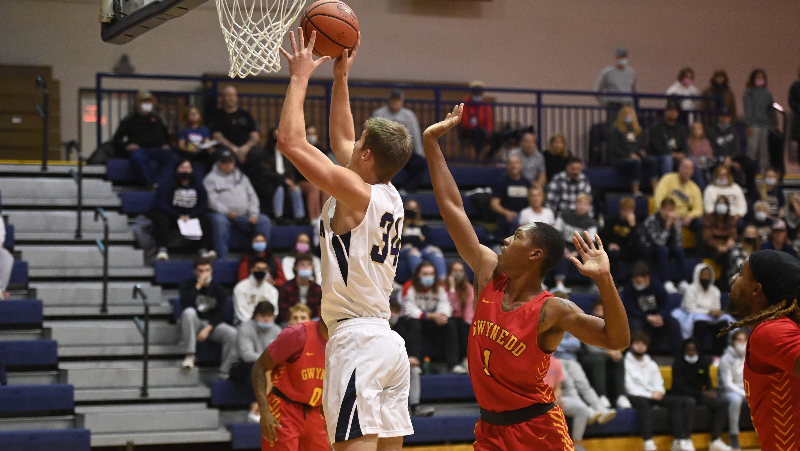 Men's Basketball Falls in Final Seconds At Catholic
