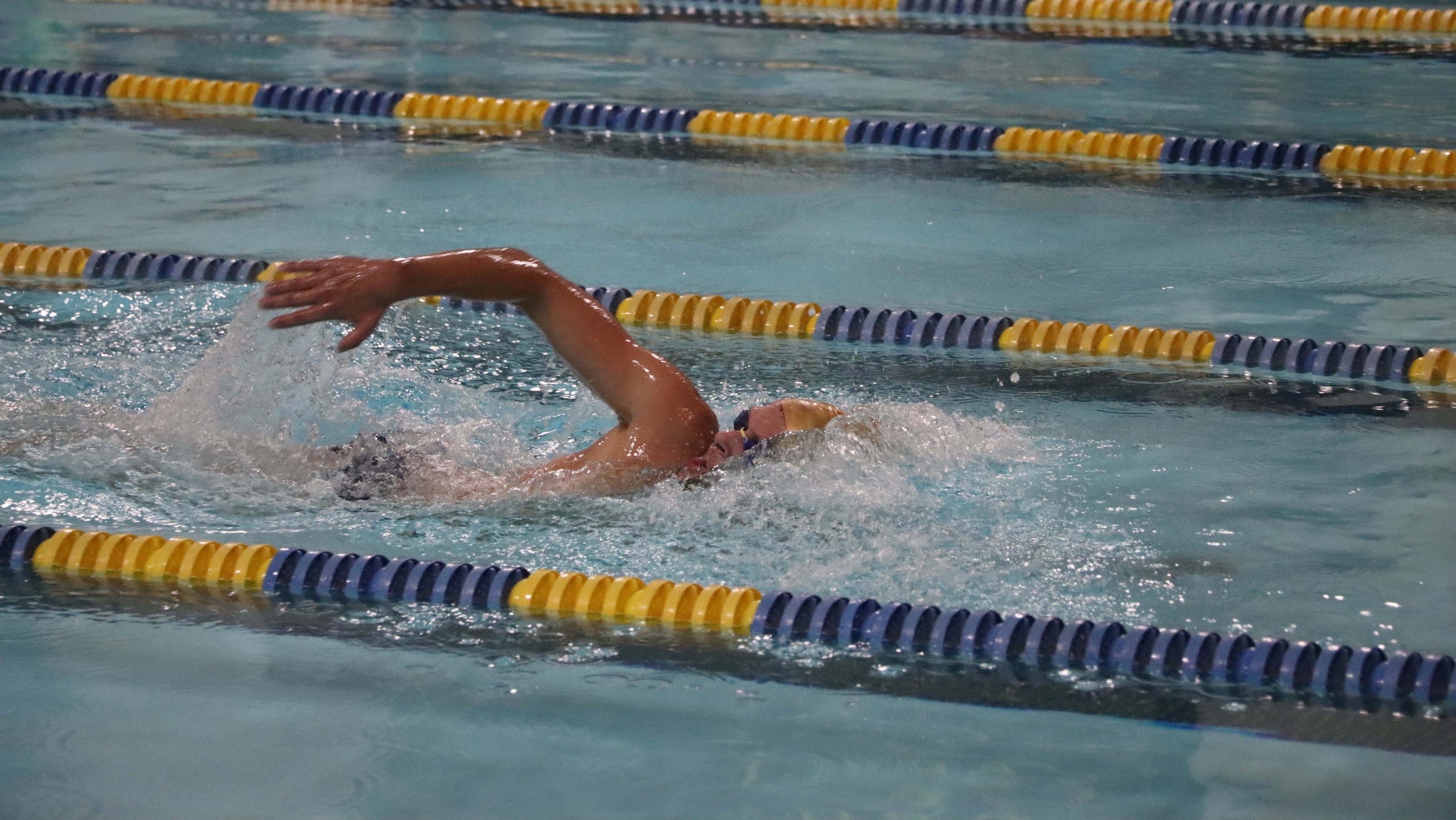Men's Swimming Fall to Elizabethtown and Penn State Altoona