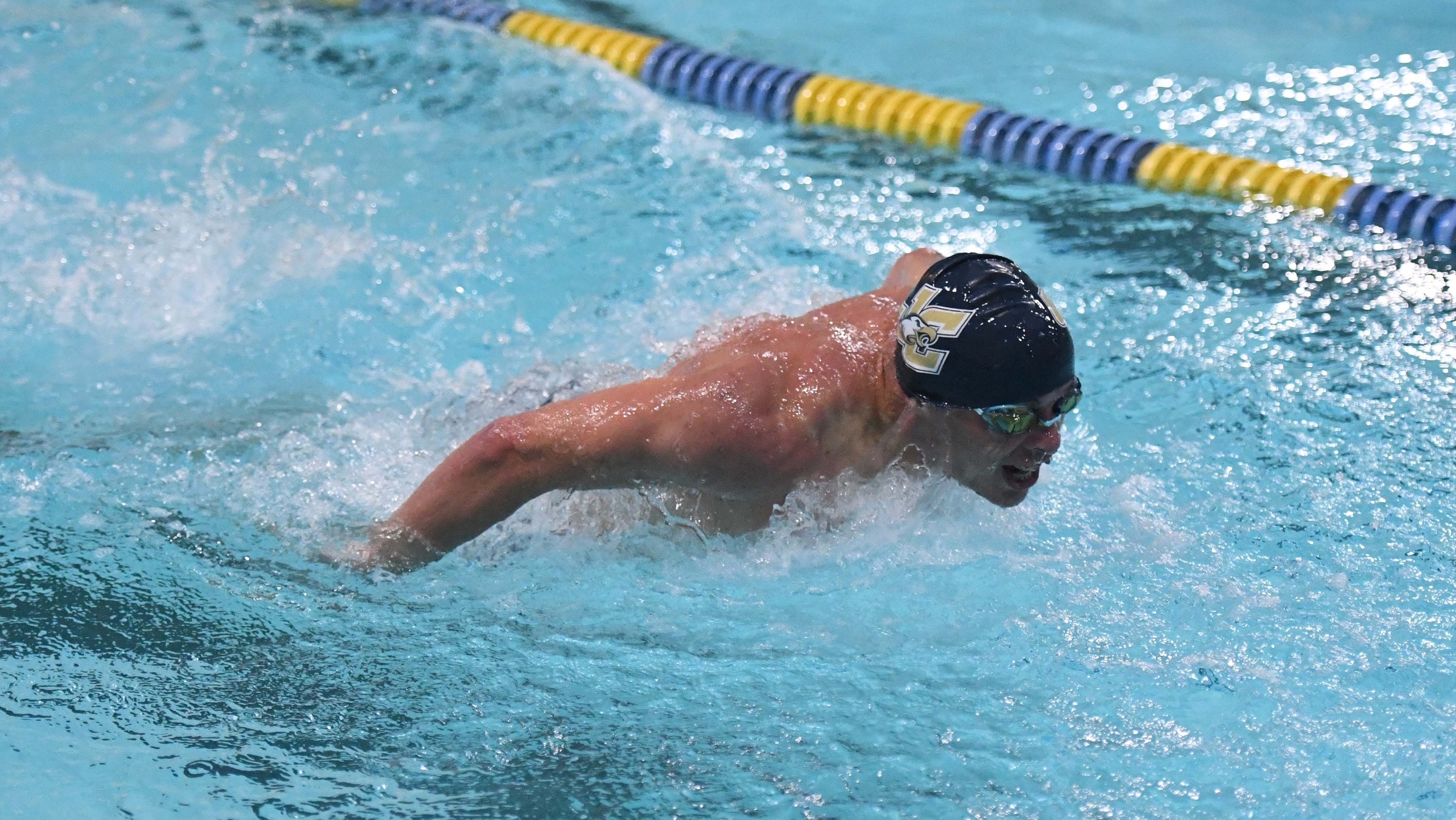 Men's Swimming Competes in Day One of Cougar Invitational