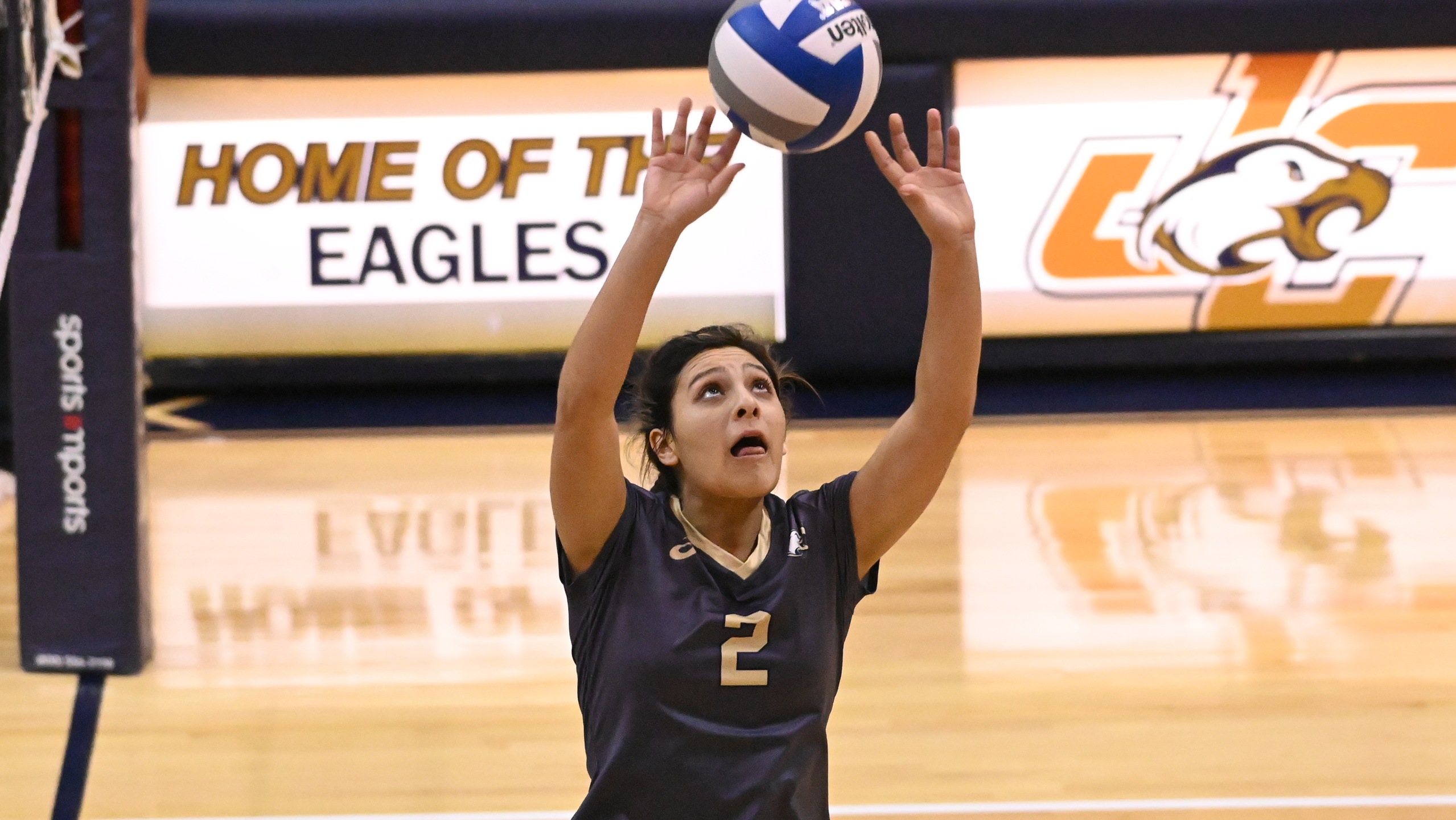 Eagles Outlast Tigers