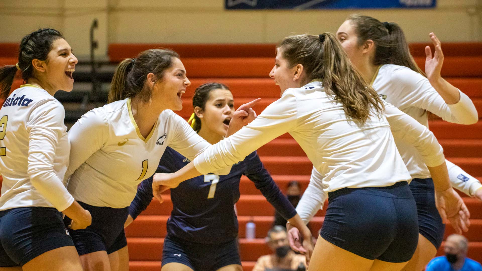 Women's Volleyball Outlasts Babson, Advances to Regional Final
