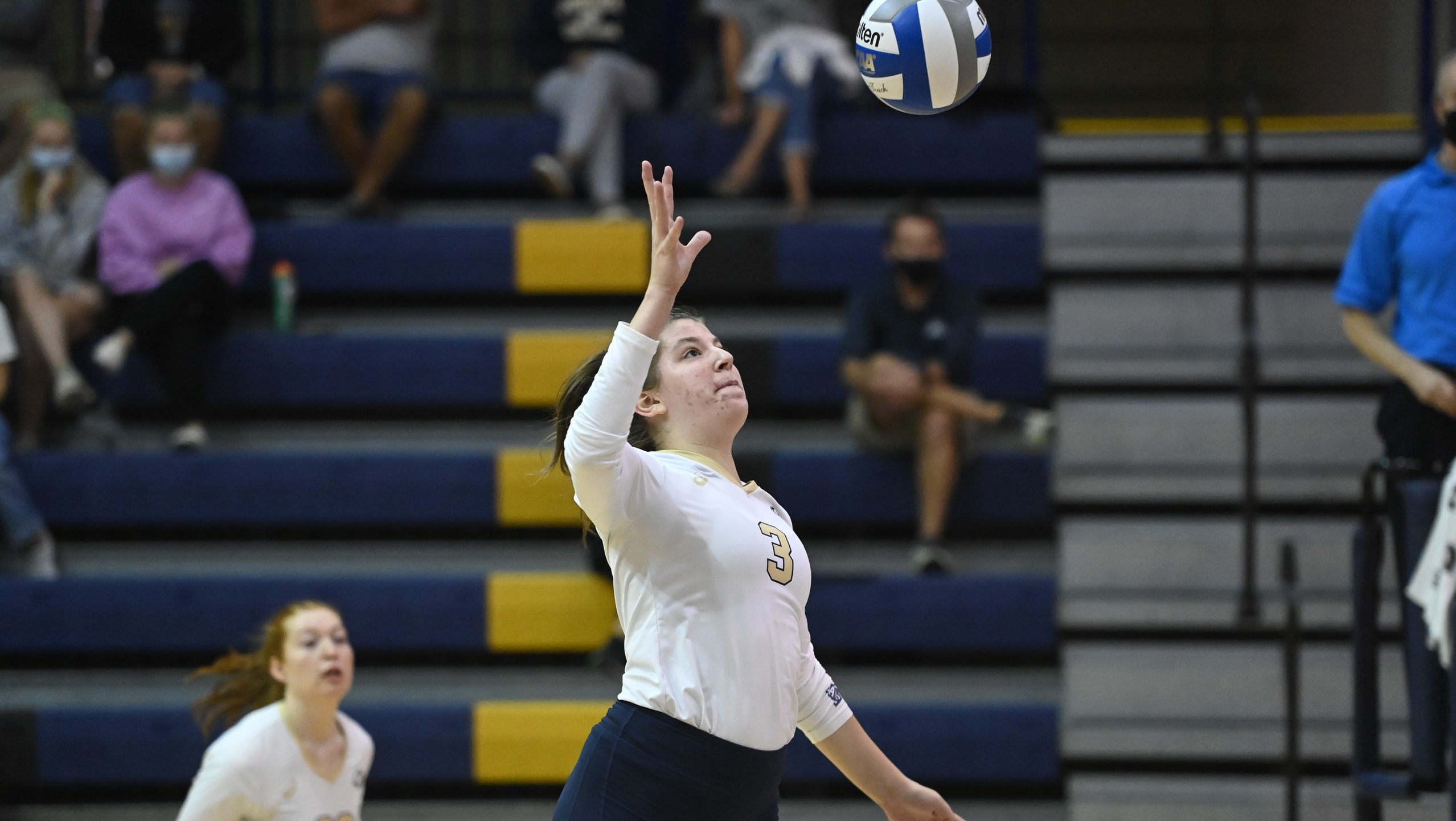 Women's Volleyball Disarms Spartans