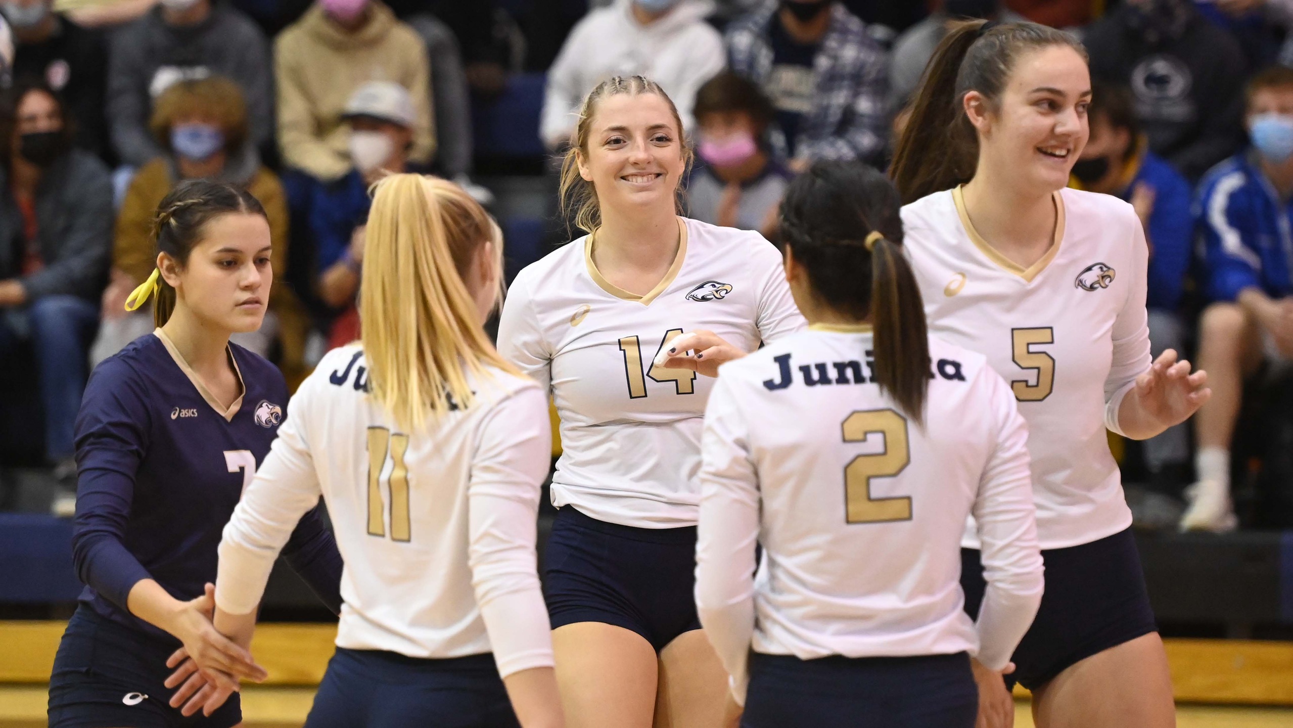 Women's Volleyball to Take on Gallaudet this Friday at 3:00 at RIT