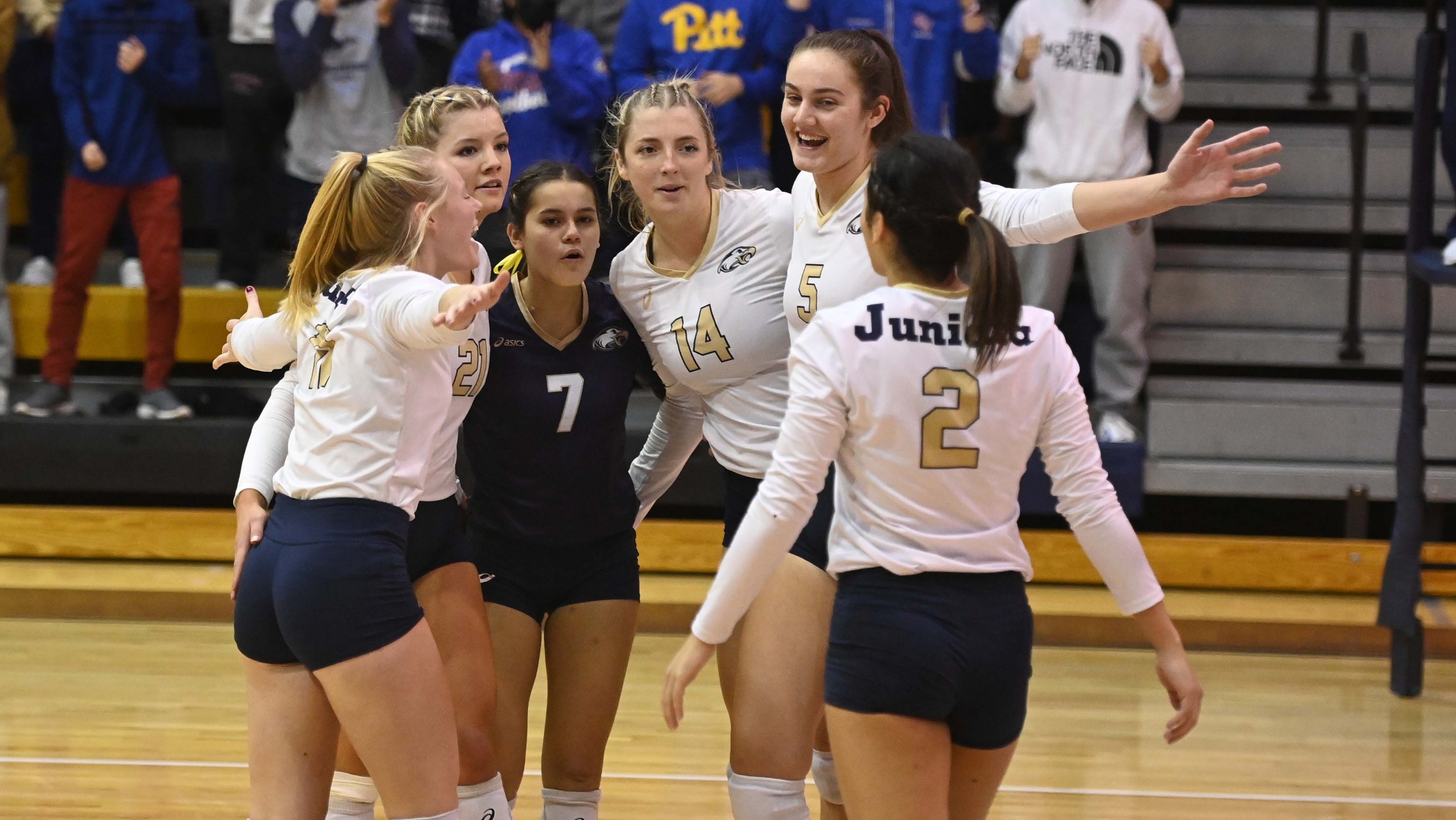 Women's Volleyball Cruises Past Gallaudet in First Round of NCAA Tournament