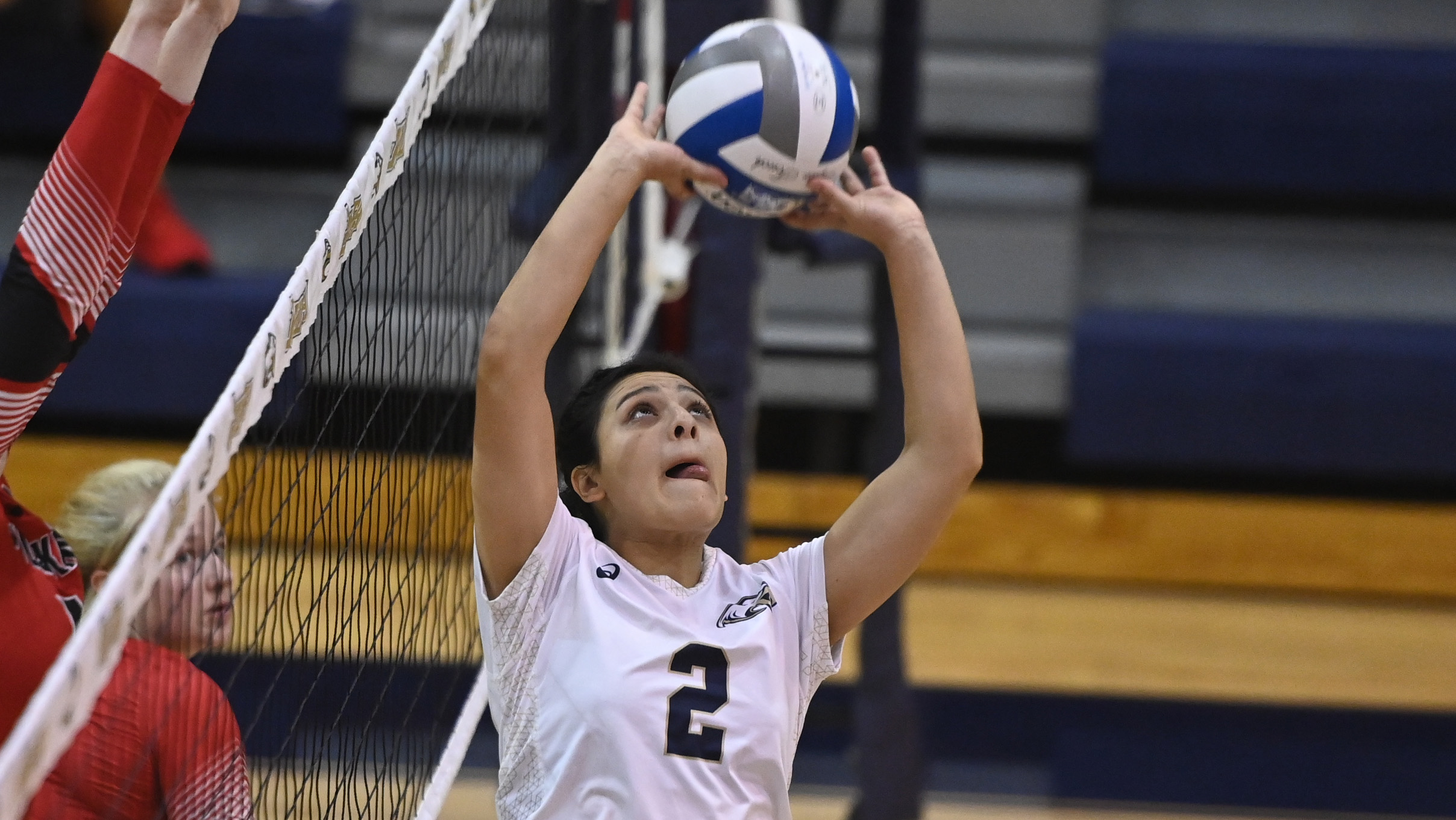 Eagles Nab Pair of Conference Wins as they Sweep Susquehanna & Drew