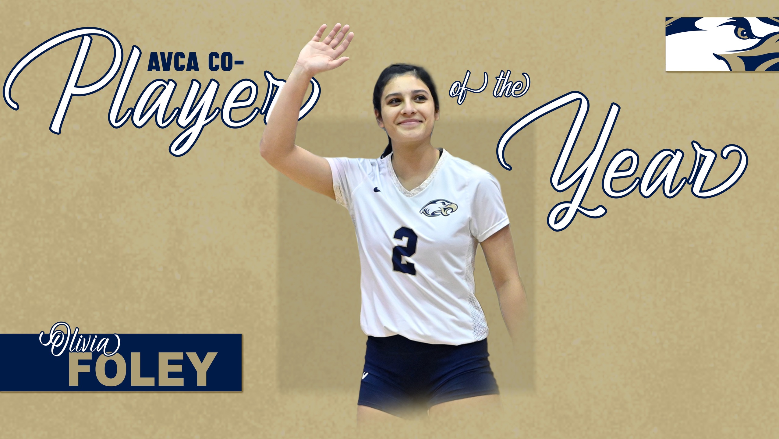 Foley Named AVCA DIII Co-Player of the Year